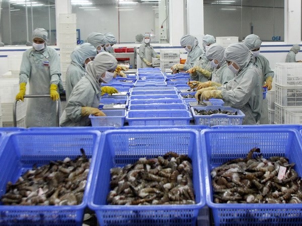 A shrimp processing plant in the Mekong Delta province of Hau Giang (Photo: SGGP)